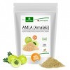 MoriVeda - Poudre dAmla 250g Bombe vitaminée qualité premium - Produit 100% naturel avec vitamine C, chrome, minéraux, pro