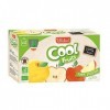 Vitabio Cool Fruits Pomme et Acérola 12X90g