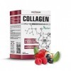 COLLAGENE MARIN + VITAMINE C - Collagène Labellisé Type I, Mobilité et Energie, Antioxydant, 10 sachets saveur Fruits Rouges 