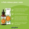 Vitamine A en Gouttes, 5000 U.I., 1500µg Haute Dose Journalière, 100% Vegan, Sans Additifs, 1700 Gouttes de Véritable Palmita