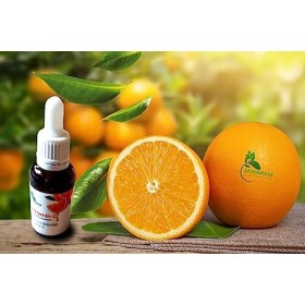 Serum vitamine C Hyaluronique Vitamine E