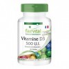 Fairvital | Vitamine D3 500 UI - boite de 100 jours - Fortement dosé - 100 caps - cholécalciférol