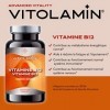 VITAMINE B12 | VITOLAMIN® | 365 COMPRIMÉS | Contribue au métabolisme énergétique normal, au système immunitaire et à la fonct