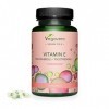 Vitamine E Vegavero® | 100% NATURELLE | Qualité Supérieure : TheraPrimE® | Avec Tocophérols + Tocotriénols | Sans Additifs | 