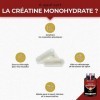 CRÉATINE MONOHYDRATE 3000 mg - Creapure® - Sans Excipients - Formule 100% Pure - Intensité Sportive - Performance Physique - 