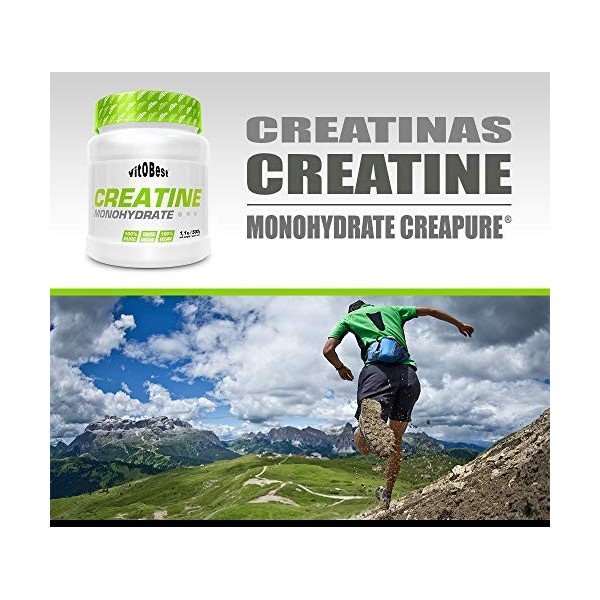 Supplément Creatine Monohydrate - Sports - Suppléments VITOBEST 500 g 