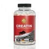 CREATIN MONOHYDRAT 200 gélules – Dosage le plus élevé 4640 mg portion quotidienne – 100 % monohydrate de créatine de haute qu