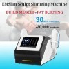 Weight Lose Electromagnetic Body Fitness Machine, Muscle Stimulate Fat Removal Body Slimming Build Muscle Machine