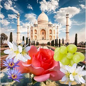 Les Grandes Amours du Taj Mahal Romea dAmeor 100ml/3.4oz