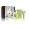 La Sultane de Saba Coffret Parfum The Vert/Gingembre