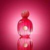 Coffret cadeau The Icon dAntonio Banderas pour Femme EDP 100 ml + DEO 150 ml - Longue Durée - Parfum sophistiqué et sensuel 