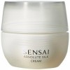 Sensai - kanebo Sensai Absolute Silk Cr 40ml - 1 Unidad 4973167383643 