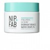 Nip+Fab Hyaluronic Fix Extreme4 Crème à leau Pour la Nuit 2% 50 ml, Hydratant, Lisse Les Pores, Les Ridules Et Les Rides, Pr