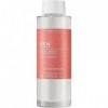 REN - Perfect Canvas Essence 100 ML