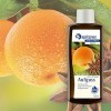 spitzner Infusion sauna Anis Orange 190 ml 8850056