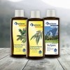 Lot Infusion pour sauna Traditionel: „ Saunamed “ / „ Eucalyptus “ / „ Herbes des Alpes “ 3x190 ml de Spitzner