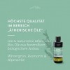 AllgäuQuelle® Parfum sauna avec 100 % dhuiles bio, saut de joie, vert hiver, romarin, crabe alpin, 100 ml