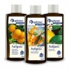 Spitzner Infusion pour sauna Vitamine C : Argousier, Orange et Agrumes 3x190ml 