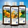 Spitzner Infusion pour sauna Vitamine C : Argousier, Orange et Agrumes 3x190ml 