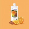 Spitzner Infusion pour sauna Anis-Orange fruité-épicé 1000 ml – Infusion bien-être pour sauna Concentré, Sauna parfumé à l’or