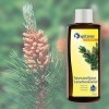 Infusion pour sauna « Pin de montagne » 190 ml de Spitzner