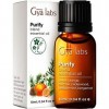 Gya Labs Mélange dhuiles essentielles Purify 10 ml - Parfum frais et nettoyant