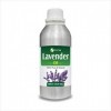 Lavender Oil Lavandula officinalis Essential 500 ml By Salvia