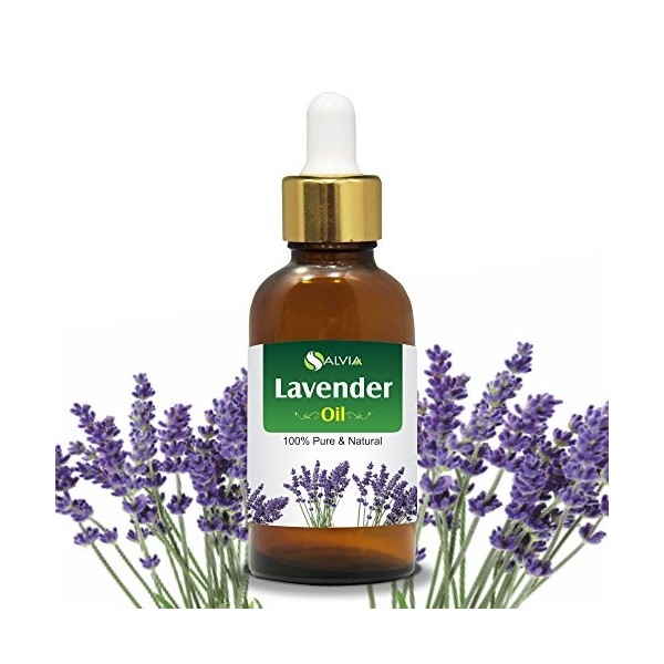 Lavender Oil Lavandula officinalis Essential 100 ml By Salvia