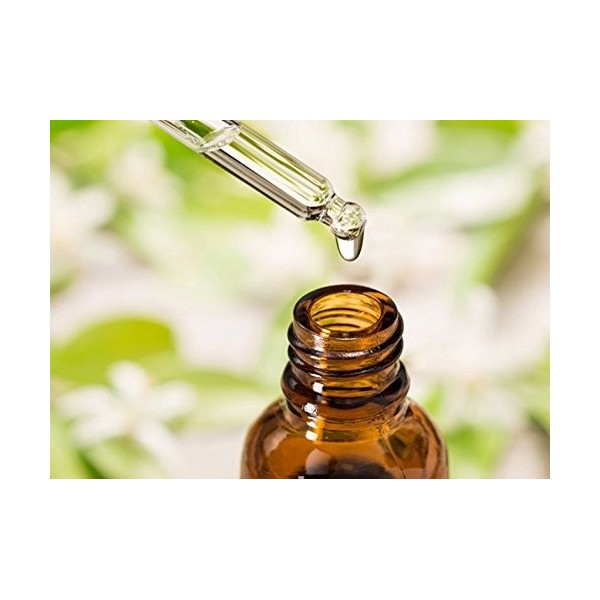 Lavender Oil Lavandula officinalis Essential 100 ml By Salvia