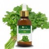 CORIANDER OIL Coriandrum sativum Essential oil 100 ml By Salvia