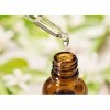 CORIANDER OIL Coriandrum sativum Essential oil 100 ml By Salvia