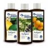 spitzner Lot de 3 infusions pour sauna - Orange citron/sureau - 190 ml chacun