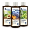 Lot Infusion pour sauna Voyage vert: „ Thé vert-avocat “ / „ Lavande-Kumquat “ / „ Citronnelle-Basilic “ 3x190 ml de Spitzn