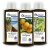 Lot Infusion pour sauna Émotion: „ Ananas-Coco “ / „ Orange “ / „ Citronnelle-Basilic “ 3x190 ml de Spitzner