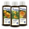 Lot Infusion pour sauna Parfum dorange: „ Orange “ / „ Mandarine “ / „ Anis-Orange “ 3x190 ml de Spitzner