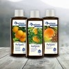 Lot Infusion pour sauna Parfum dorange: „ Orange “ / „ Mandarine “ / „ Anis-Orange “ 3x190 ml de Spitzner