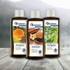 Spitzner Kit dinfusion de sauna dans une boîte cadeau - Orange anis, cannelle et basilic citronnelle 3 x 190 ml 