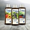 Spitzner Kit dinfusion de sauna dans un coffret cadeau Baies joyeuses : rêve de fruits, cassis et fruits de la forêt 3 x 19