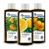 spitzner Lot de 3 infusions pour sauna Mandarine Pamplemousse Orange 190 ml