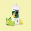 Infusion pour sauna « Citrus » 1000 ml de Spitzner