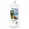 spitzner Infusion pour sauna ananas coco 8850067