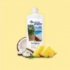 spitzner Infusion pour sauna ananas coco 8850067