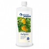 Infusion pour sauna « Mandarine » 1000 ml de Spitzner