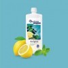 Spitzner Infusion pour sauna Citrus Menthe 1000 ml 