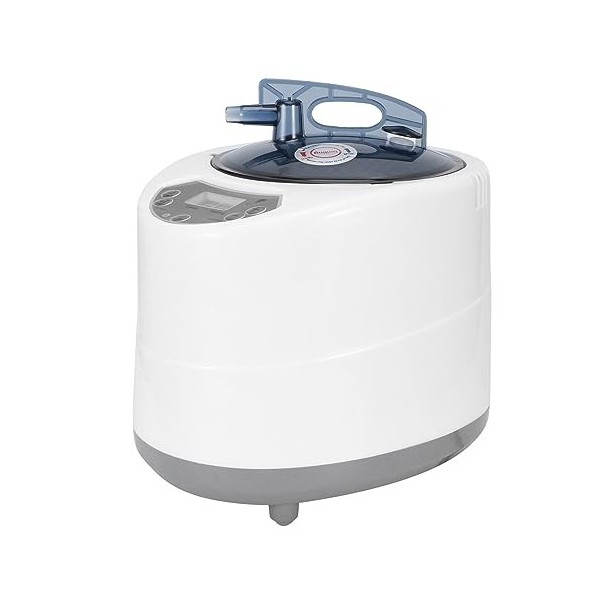 Générateur de sauna à vapeur Générateur de Sauna de 2800mL 1500W 50Hz for la Machine de Fumigation de thérapie de corps de te