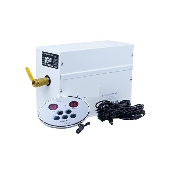 Générateur de vapeur pour sauna Générateur de bain de vapeur de Machine de Sauna de 3KW, Spa de perte de poids détend la vape