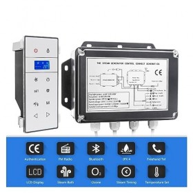 HIPATU Générateur de Vapeur pour Sauna Générateur de Vapeur de Douche Noir AC 3KW, Vapeur de Sauna Humide avec régla du Temps