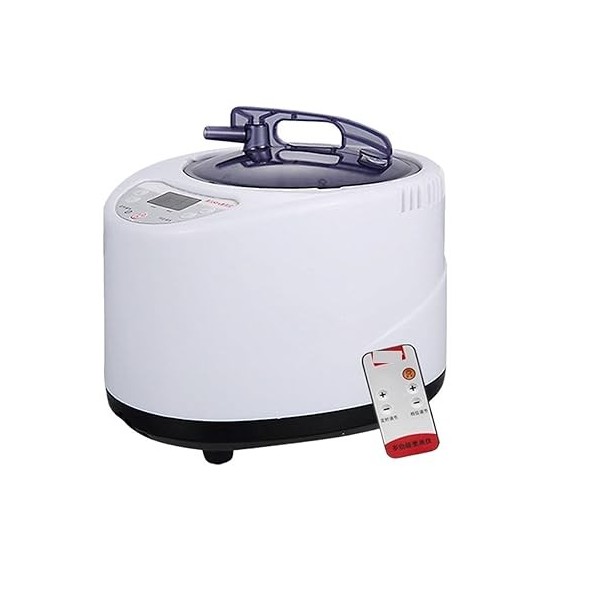 HIPATU Générateur de Vapeur pour Sauna Machine de Fumigation de Pot de Spa de Vapeur de générateur de 2.6L avec à télécommand