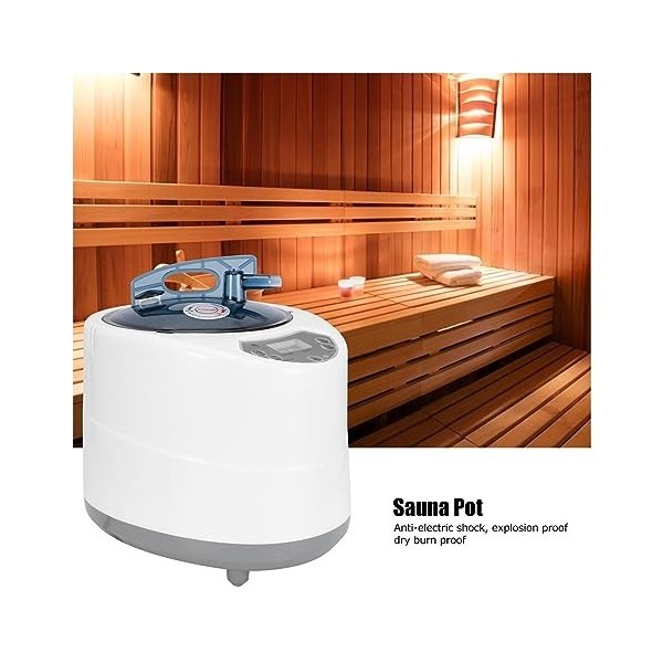 Générateur de vapeur pour sauna Générateur de vapeur de Sauna de station thermale de 3L 1500W for la Machine de Fumigation de