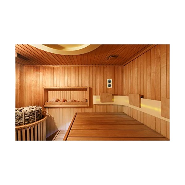 TFA 40.1004 Thermo-hygromètre pour sauna Cheveu synthétique Import Allemagne 